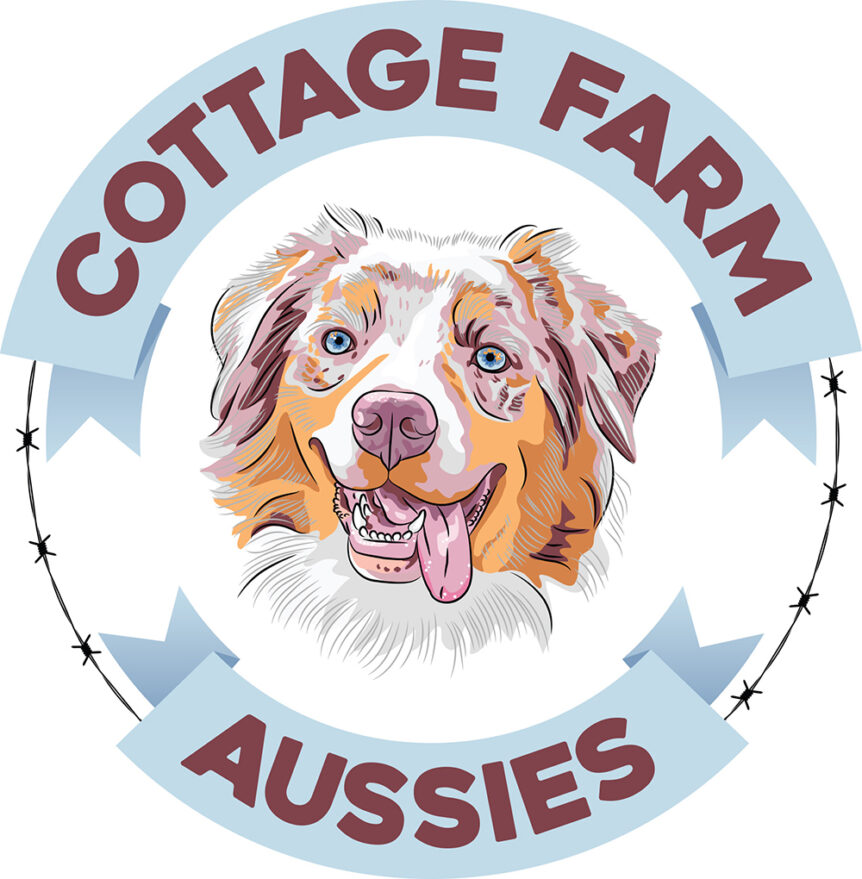 cottage farm aussies logo design